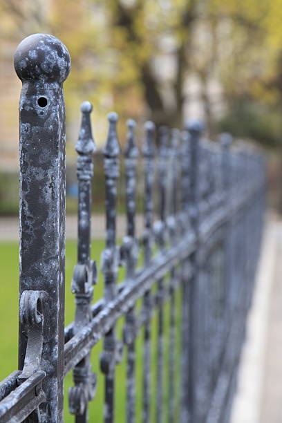 istock metal park fence 460657845