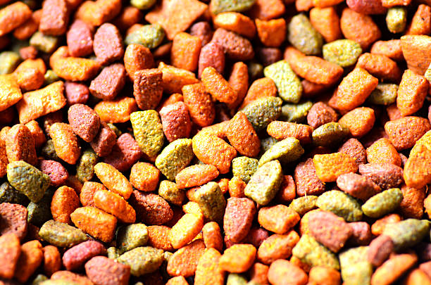 istock dry cat food mix background 460658503