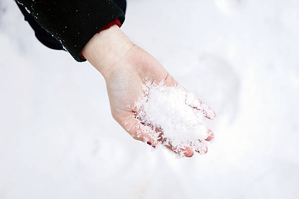 istock Woman hand holding snow 460663407