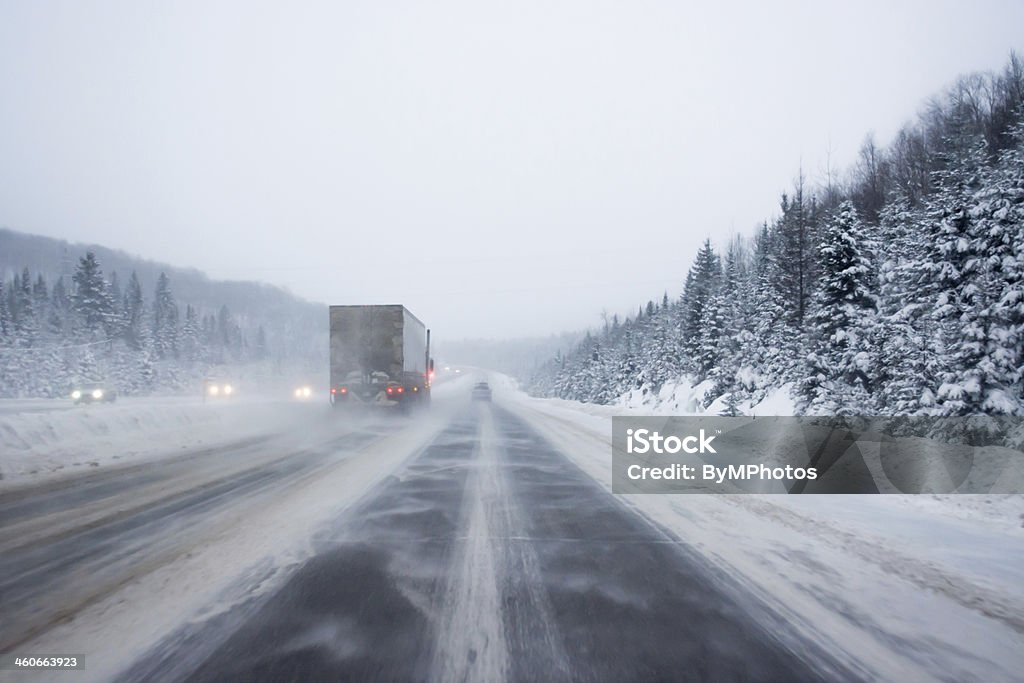 Tormenta de nieve la - Foto de stock de Invierno libre de derechos