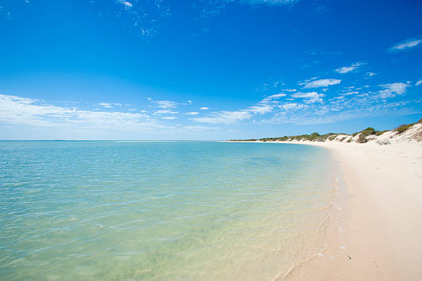istock Beach of Monkey Mia in Western Australia 460667481