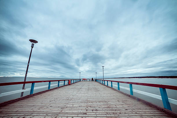 istock The Baltic Sea and a pier 460669227