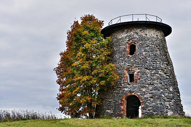 istock Medieval windmill in village near Cesis, Latvia 460669647