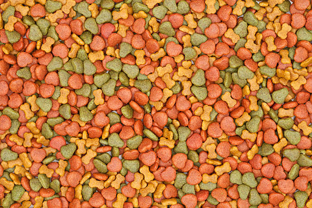 istock dog food 460672213