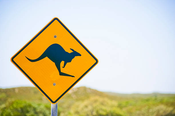 istock Kangaroo sign in Western Australia 460675467