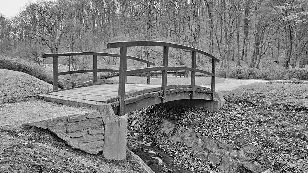istock Small wood bridge with railings 460678577