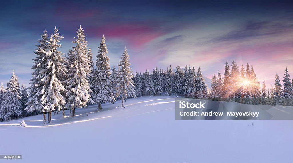 Panorama of the winter sunrise in mountains Panorama of the winter sunrise in the mountains Winter Stock Photo