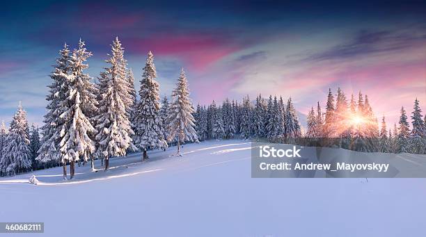 Panorama Of The Winter Sunrise In Mountains Stock Photo - Download Image Now - Winter, Snow, Landscape - Scenery