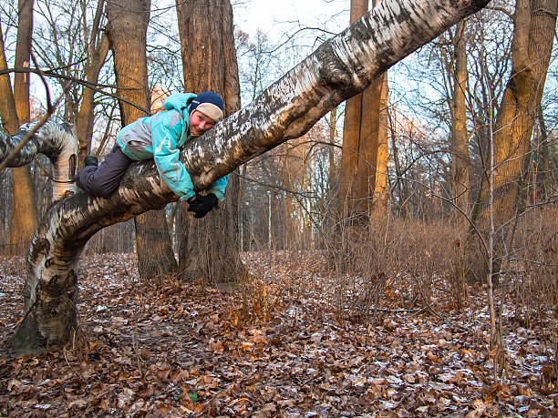 istock Boy lies on a birch 460682435