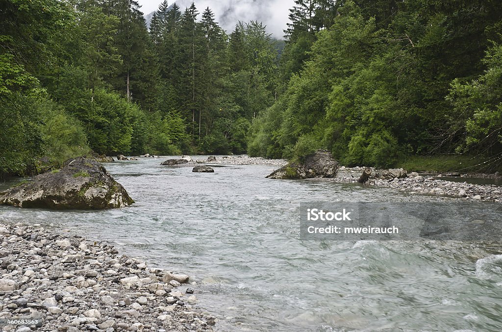 The Loisach The Loisach near Grainau Flowing Stock Photo