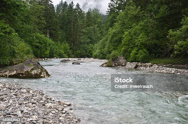 The Loisach Stock Photo - Download Image Now - Flowing, Forest, Grainau