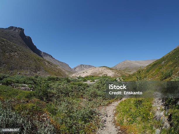 Road In The Mountains Stock Photo - Download Image Now - Arctic, Blue, Bush