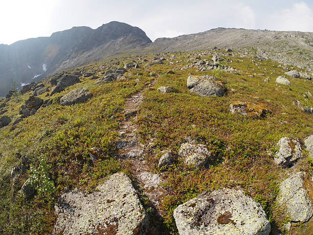 estrada nas montanhas - putelichorr imagens e fotografias de stock