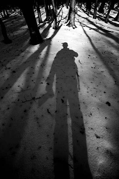 istock Photgrapher shadow in woods 460684903