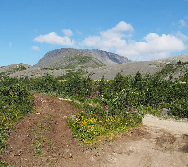 estrada nas montanhas - putelichorr imagens e fotografias de stock