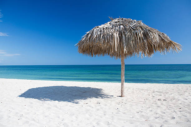 istock Caribbean beach with parasol in Cuba 460736957