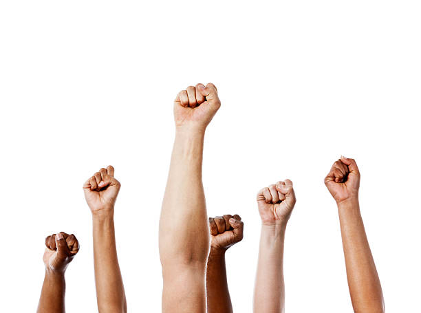 Together we stand! Many clenched fists punch air energetically Many mixed clenched fists punch up into the air energetically in unanimous approval or rebellion. Isolated on white. punching the air stock pictures, royalty-free photos & images