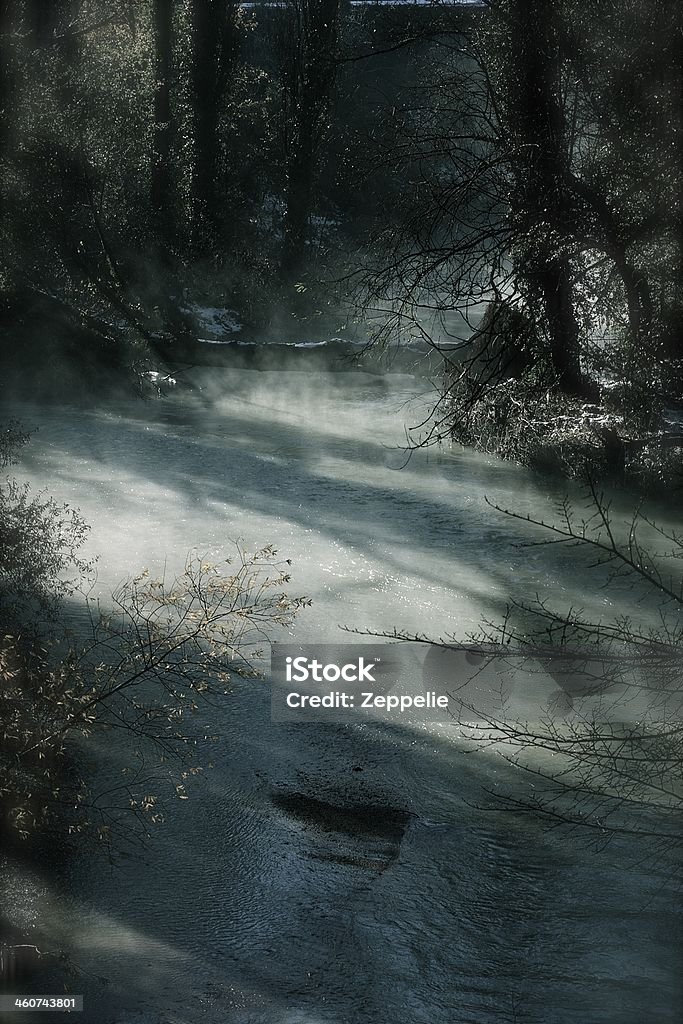 Winter river (vertikal) - Lizenzfrei Baum Stock-Foto