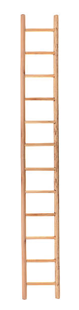 Wooden ladder
