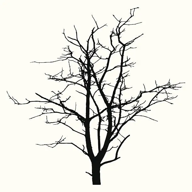 Vector illustration of Fine Traced Silhouette