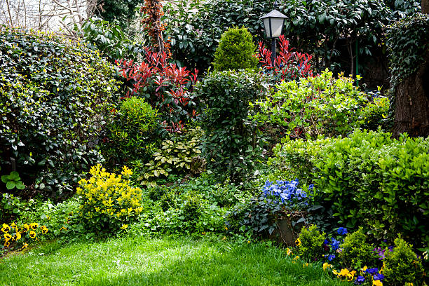 istock Ornamental Garden 460745881