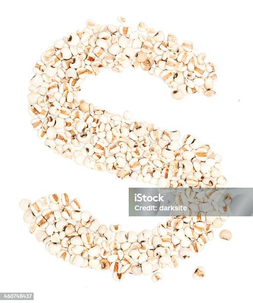 Jobs Tears Stock Photo - Download Image Now - Barley, Capital Letter, Cereal Plant