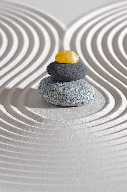 istock Japanese ZEN garden 460765599