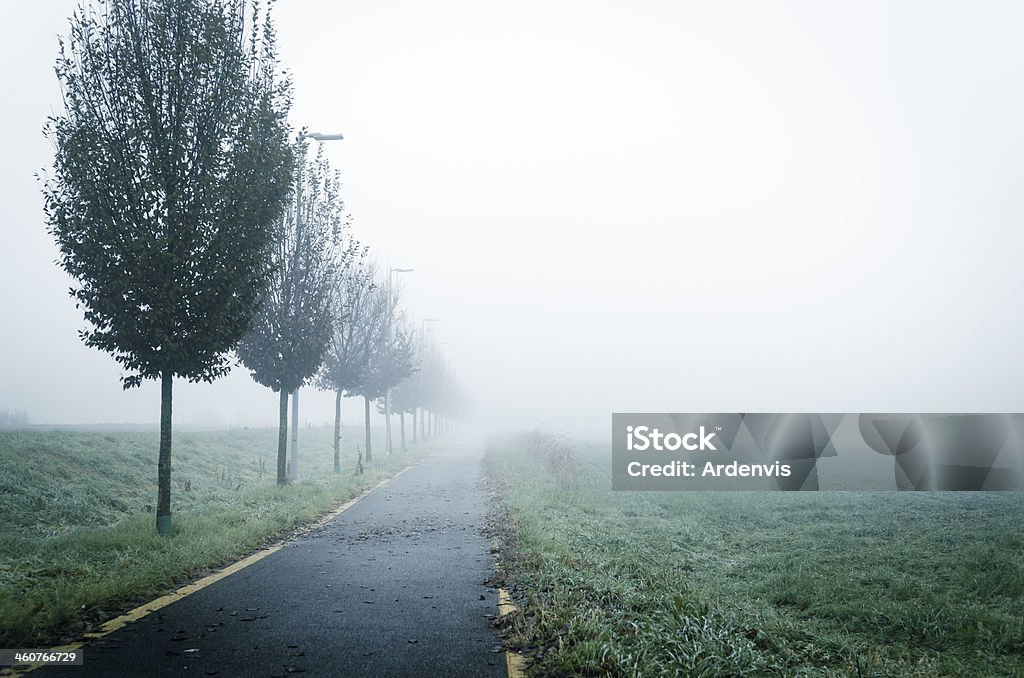 Sentiero e alberi nella nebbia, Viraggio - Foto stock royalty-free di Alberato