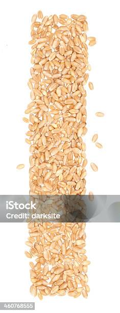 Wheat Berries Stock Photo - Download Image Now - Agriculture, Bread, Capital Letter