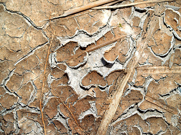istock Cracks land  dry soil 460771167