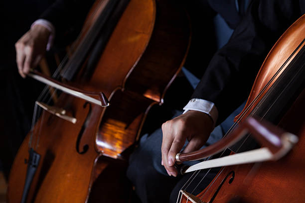 istock Midsection of two cellists playing the cello 460781461