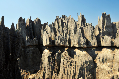 Tsingy de Bemaraha National Park, Mahajanga province, Madagascar: karst limestone formation - UNESCO World Heritage Site - photo by M.Torres