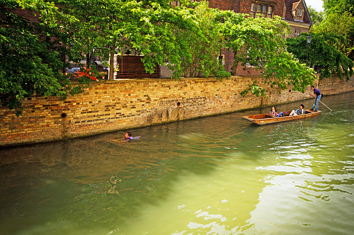 Cambridge, United Kingdom - June 16, 2013: Lazy Sunday afternoon on the River Cam in Cambridge, England, a tourist has fallen in the water and is swimming in front of a punt. This is a common aoccurrence when tourists are not used to the punt pole sticking in the mud at the bottom and they lose their footing. Punt in the background with Asian tourists in the punt.