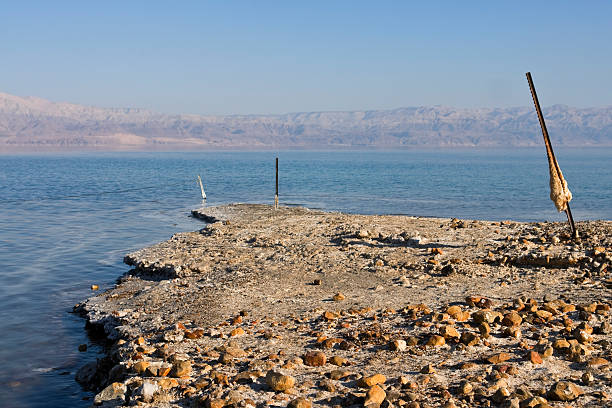 istock Coastline of the dead sea 460796423