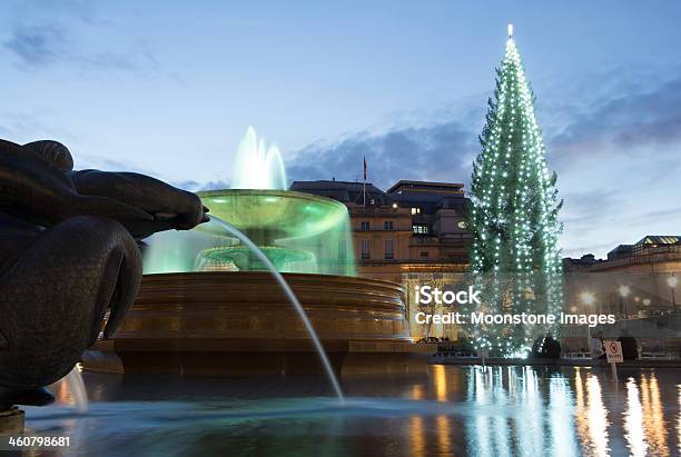 トラファルガー広場ロンドン英国 - クリスマスツリーのストックフォトや画像を多数ご用意 - クリスマスツリー, 英国 ロンドン, イギリス