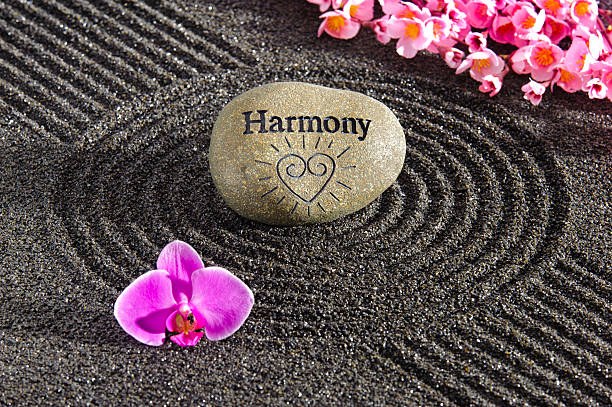istock Japanese ZEN garden 460809497
