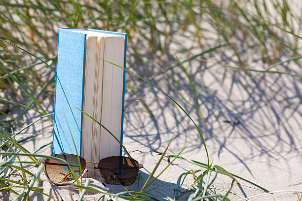 istock Book and Sunglasses in the Dune 460816853