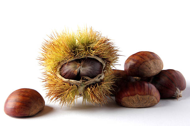 castagna - chestnut sweet food yellow group of objects foto e immagini stock