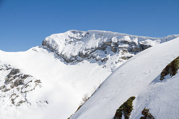 istock The mountains in Krasnaya Polyana, Sochi, Russia 460844005