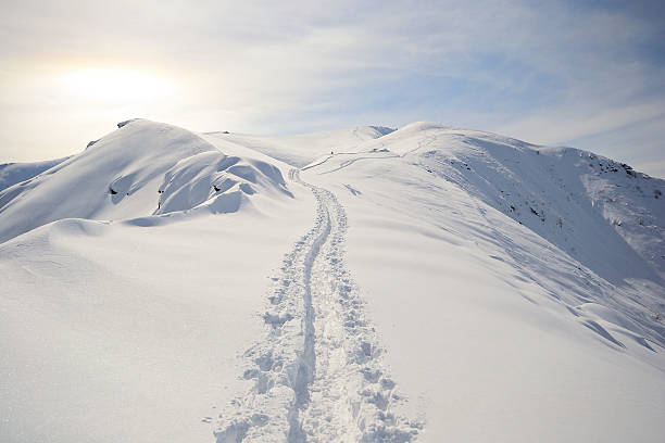ski de randonnée - ski track powder snow track snow photos et images de collection