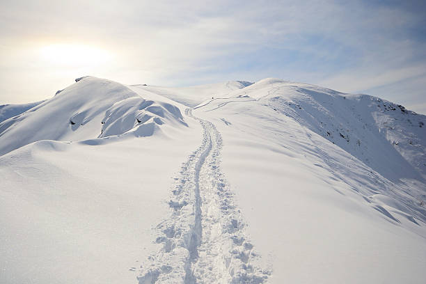 o ski touring - telemark skiing fotos - fotografias e filmes do acervo