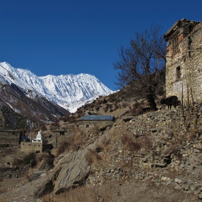 View from Khangsar. Tilicho Peak, Annapurna Conservation Area.