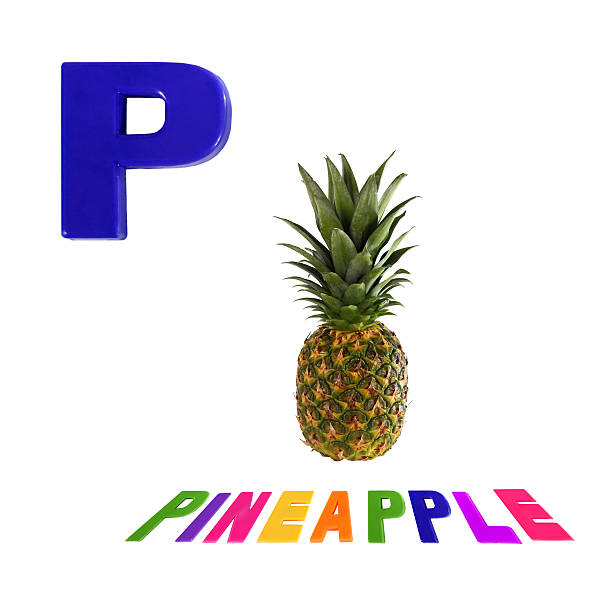 Illustrated alphabet letter p and pineapple on white background.