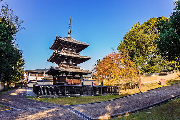 three-storied pagoda at kofukuji temple in nara - 興福寺 奈良 個照片及圖片檔