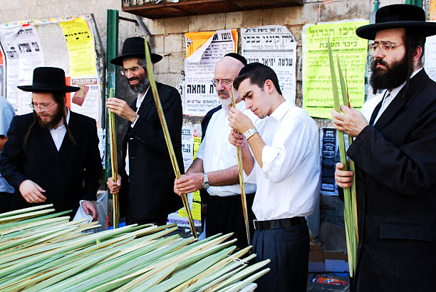 Checking Lulav for Sukkot Festival in Jerusalem Jerusalem, Israel- August 25, 2007: A group of Jewish men carefully checking their palm fronds or "Lulav" for the blessing ceremonies of the Festival of Sukkot. hasidism photos stock pictures, royalty-free photos & images