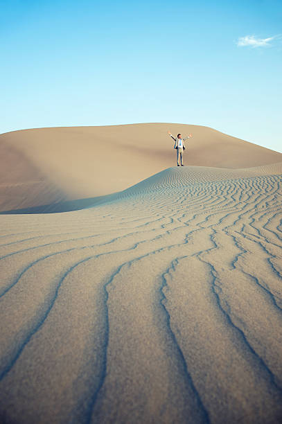 istock Solitary Businessman Standing on Desert Sand Dunes 460869973
