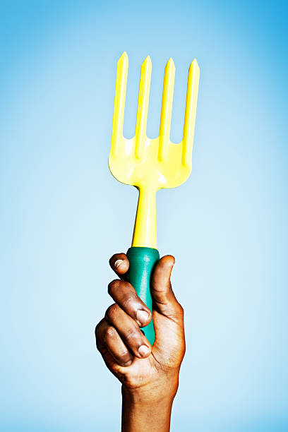 istock Hand holds up garden fork handtool triumphantly 460871931