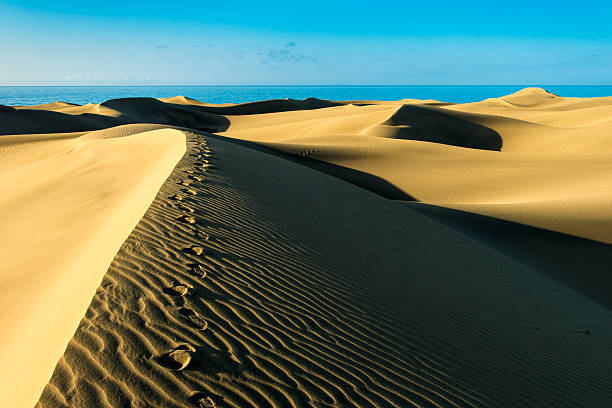 sand dunes at the sea