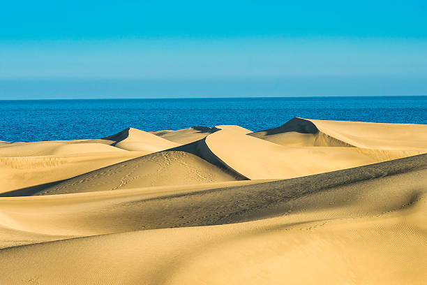 sand dunes at sunset with the atlantic ocean in the background