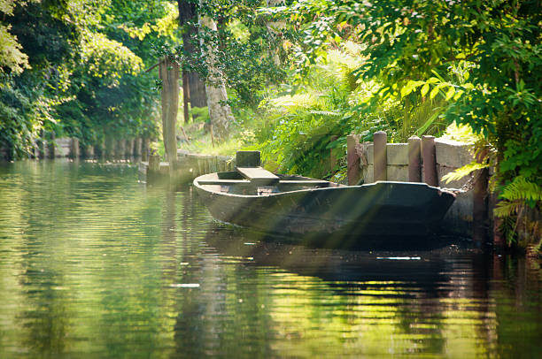 river landscape with green forest in Spreewald/ Germany 'Spreewald is a landscape in East Germany (near Cottbus). The river "Spree" floats here trough a deep forest and you can explore this landscape by boat. Everywhere are views to trees, boats, wooden houses and small holiday houses. Photo taken from boat. brandenburg state photos stock pictures, royalty-free photos & images
